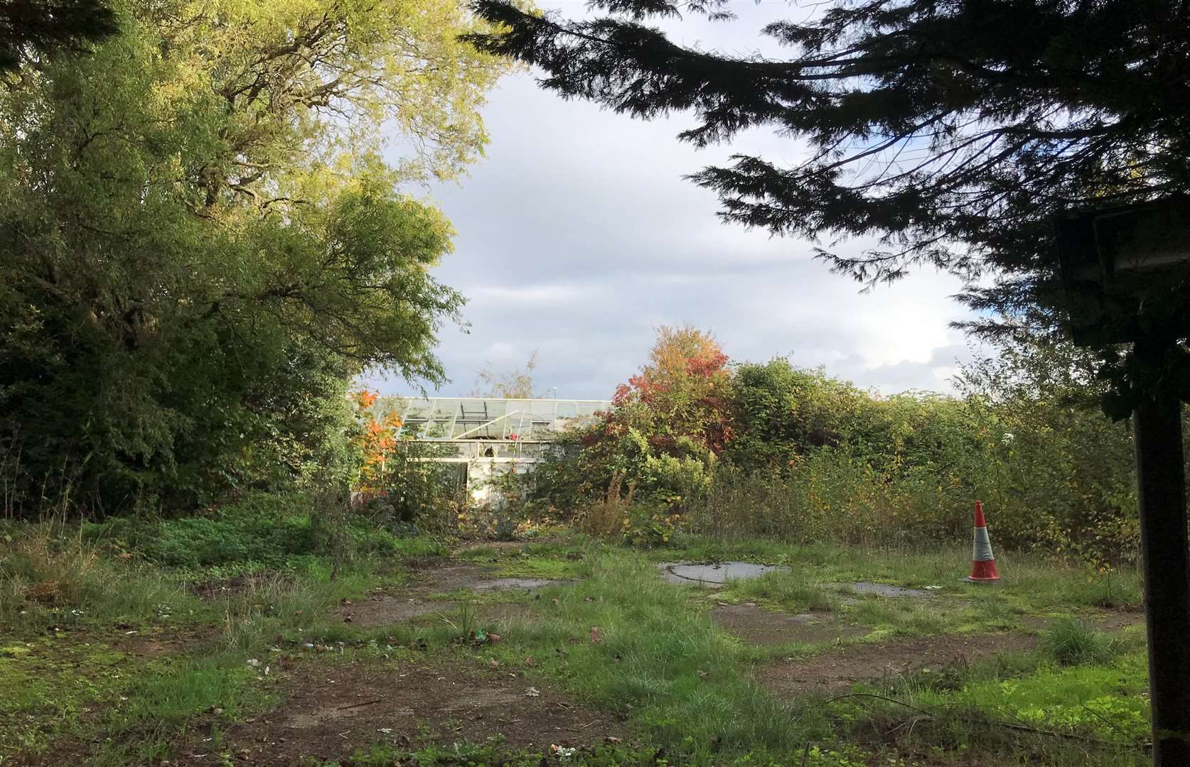 The current glasshouses and poly-tunnels are to be demolished to make way for 23 quarter-size allotments