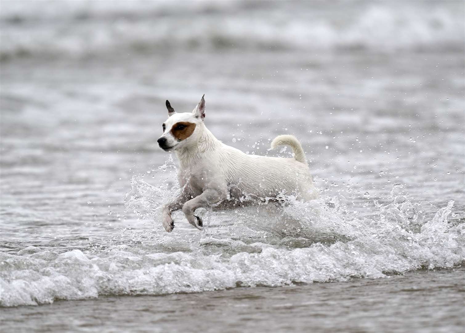 (Steve Parsons/PA)