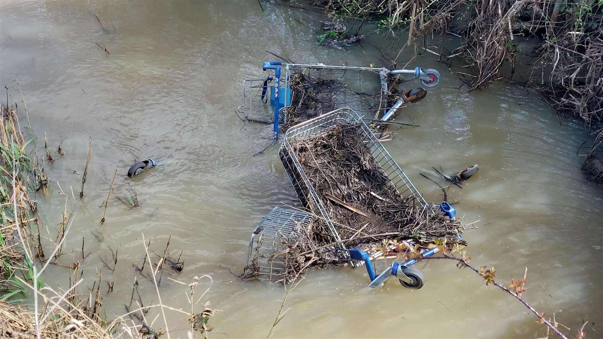 Sludge and weeds have become caught up in the metal bars