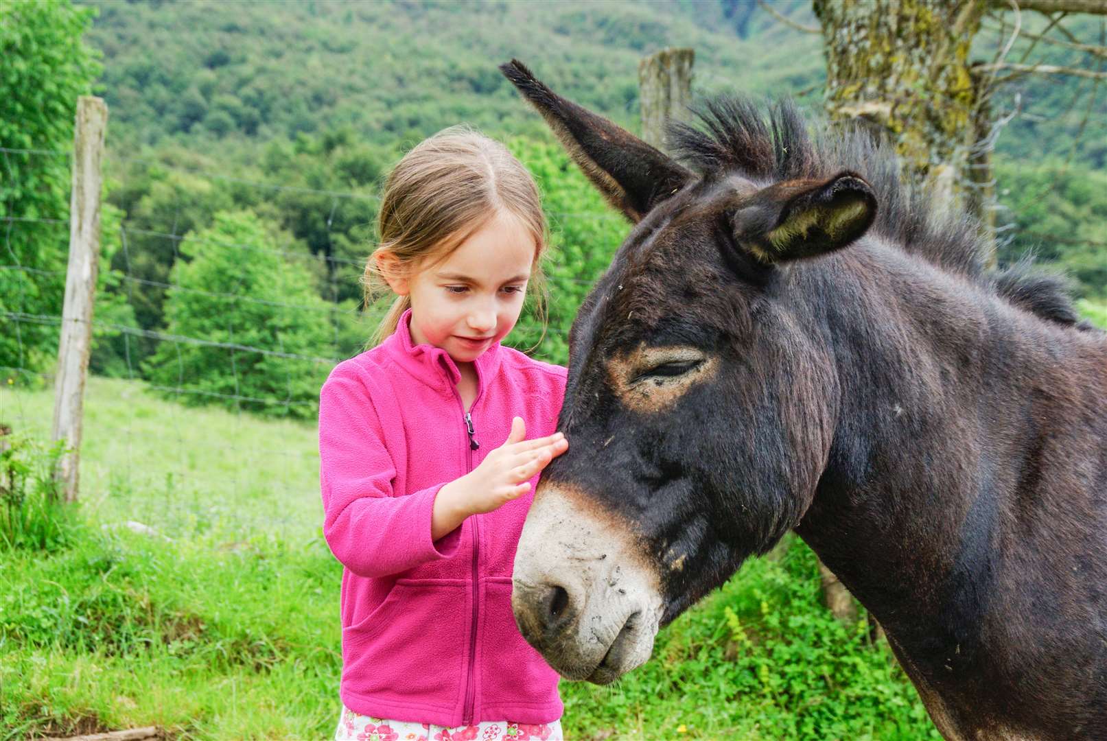 Children's charity Dandelion Time is now accepting cryptocurrency