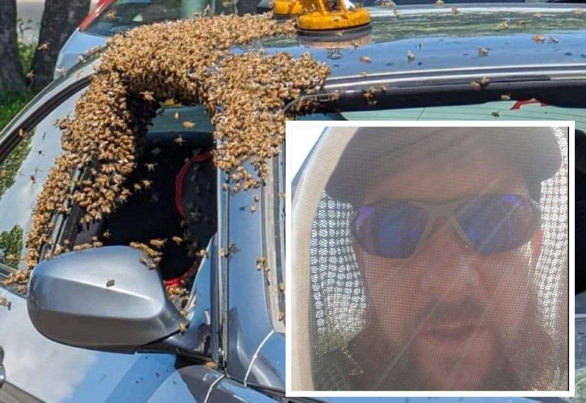 Autoglass worker stunned as bees swarm BMW and try to build hive