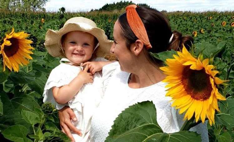 The Maze Moon sunflower patches have been popular pick-your-own spots in previous years. Picture: Maze Moon