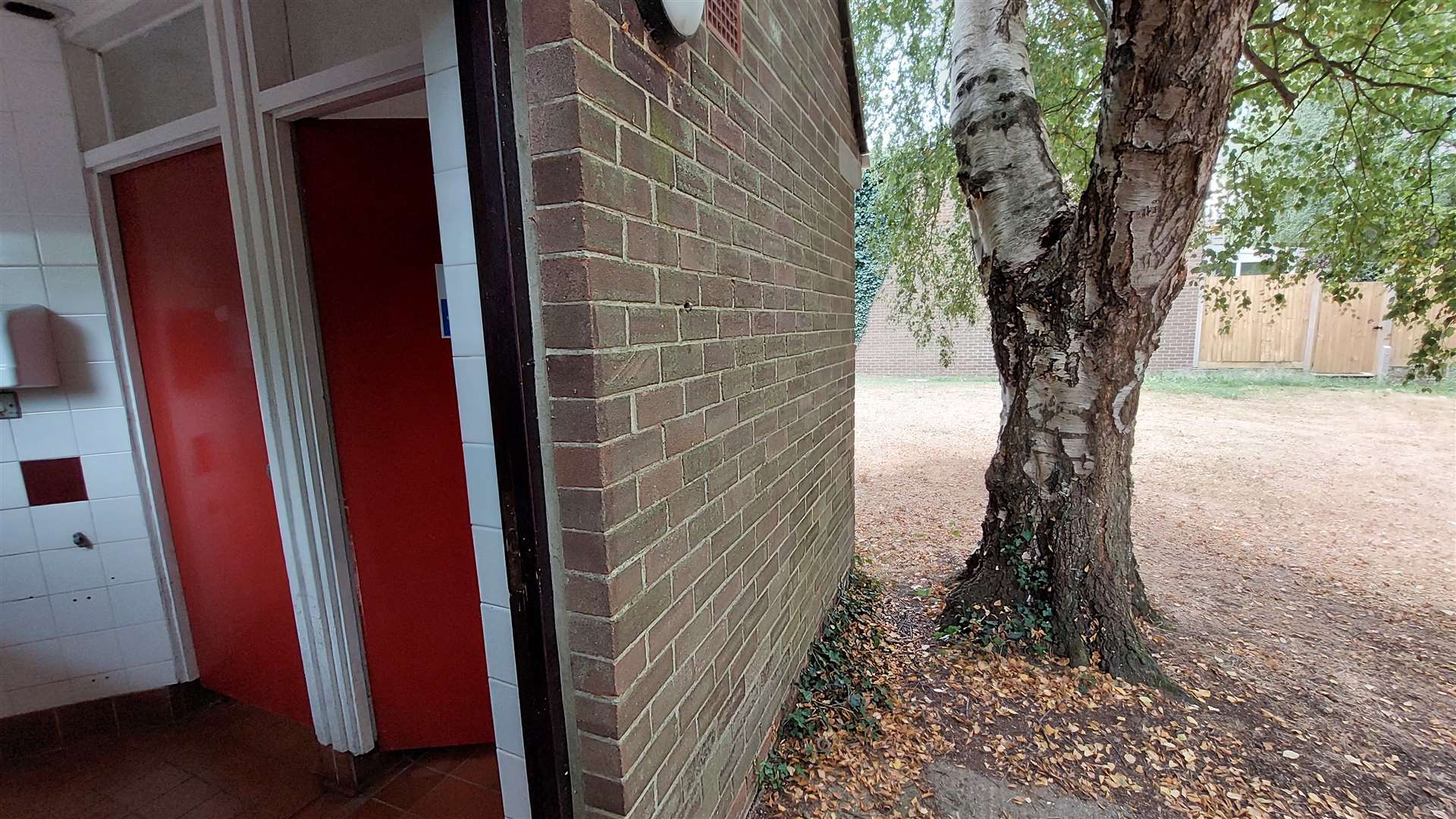 The silver birch is 'undermining the foundations' of the toilet block