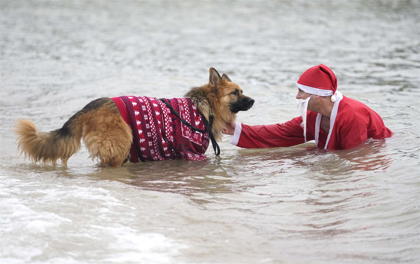 A dog in a Christmas jumper was happy to join the swimmers (Andrew Matthews/PA)