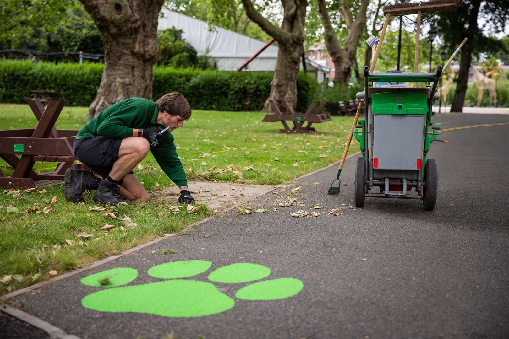 Staff hard at work near a social distancing marker at the site in London’s Regent’s Park (Aaron Chown/PA)