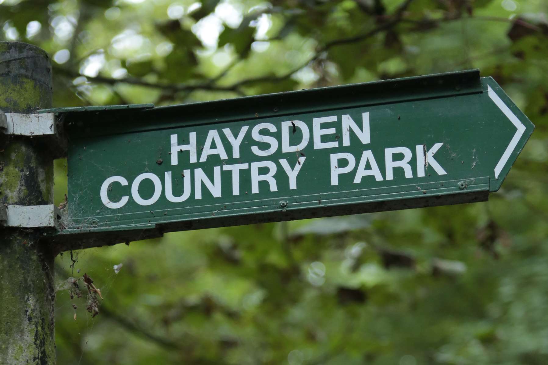 A body was pulled from the River Medway near Haysden Country Park