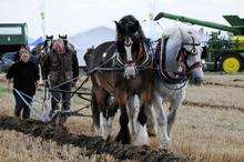 Ploughing Match