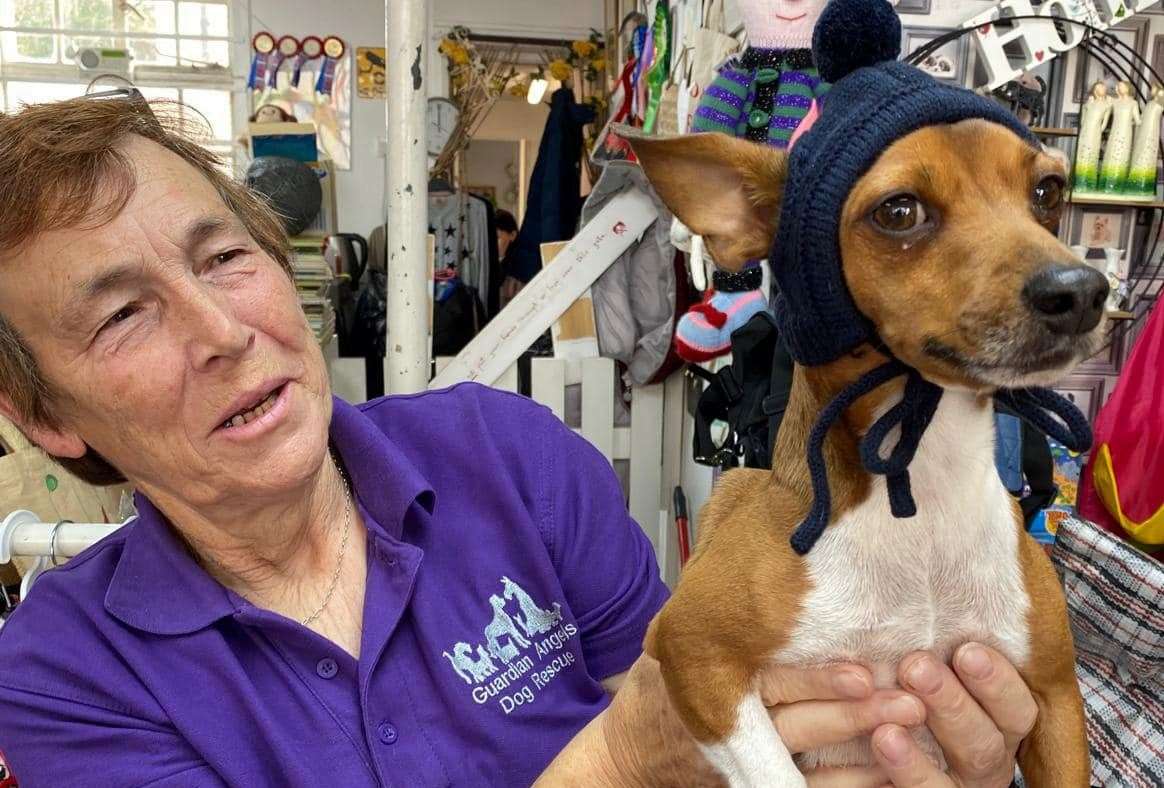 Christine Recton, pictured with another rescue dog, set up the charity in 2014. Picture: Guardian Angels for Dogs