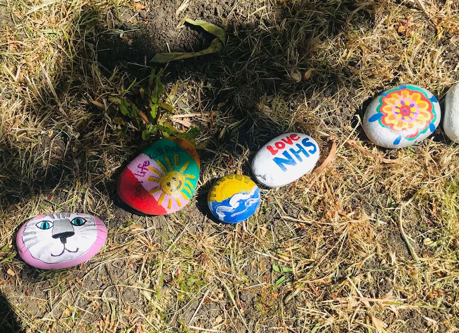 Designs on stones in Abingdon include animal faces and tributes to the NHS (Holly Barrett/PA)