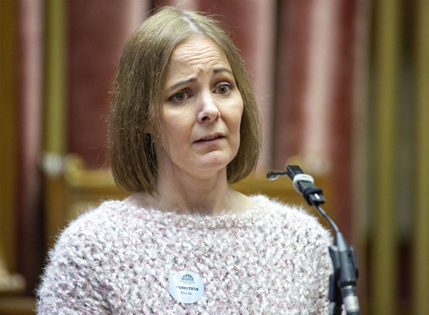 Tanya Williams-Powell speaking in the Senate Chamber of the Northern Ireland Assembly during a Victims’ Day event (Liam McBurney/PA)