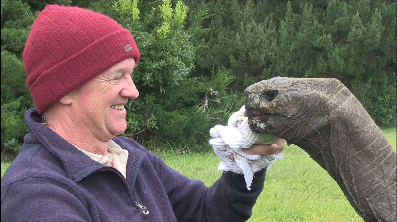 Joe Hollins began caring for Jonathan when he worked as the St Helena’s vet and still helps look after the tortoise (St Helena/PA)