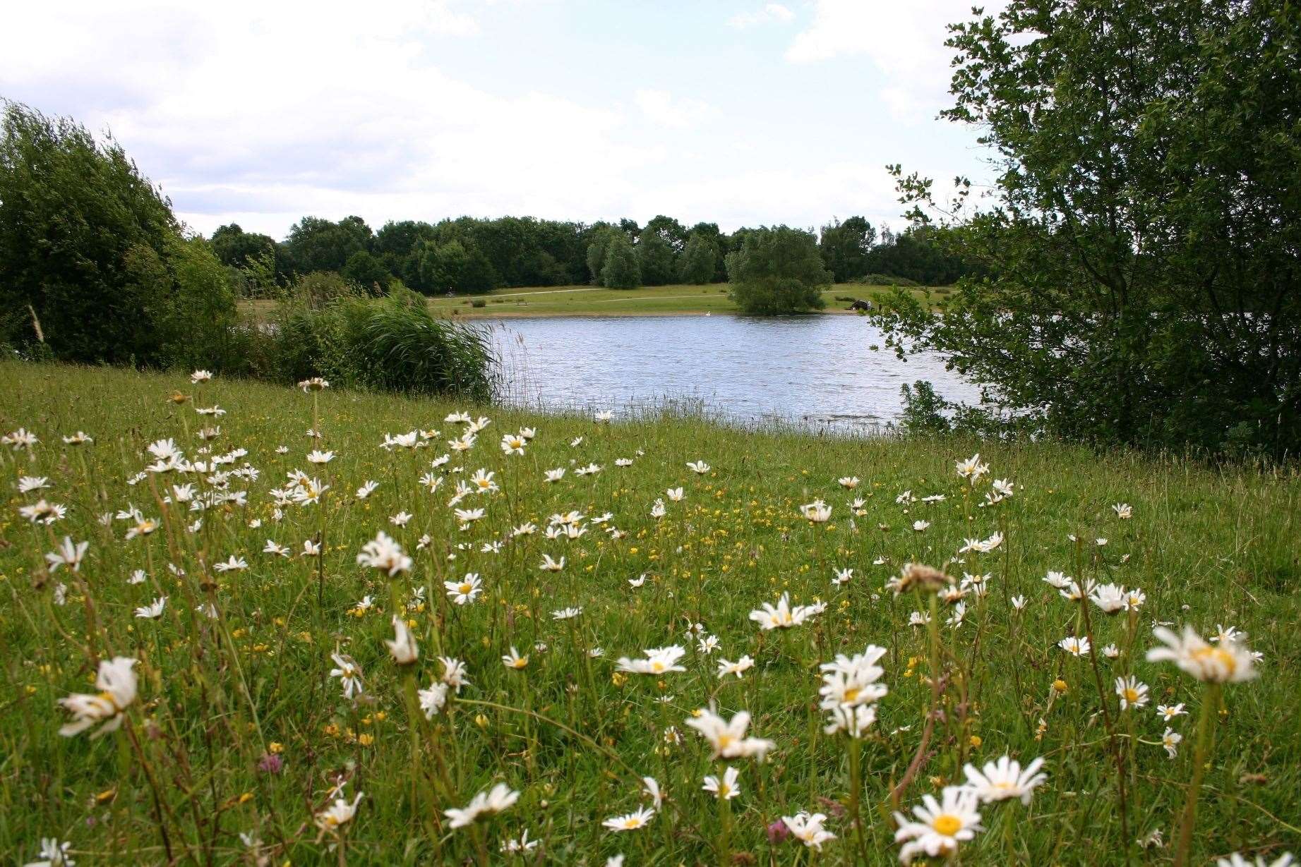 Haysden Country Park in Tonbridge