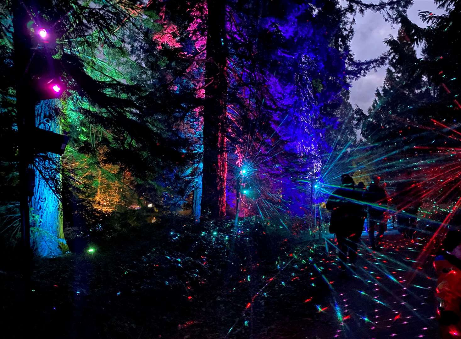 Lasers were incorporated into one of the installations along the trail