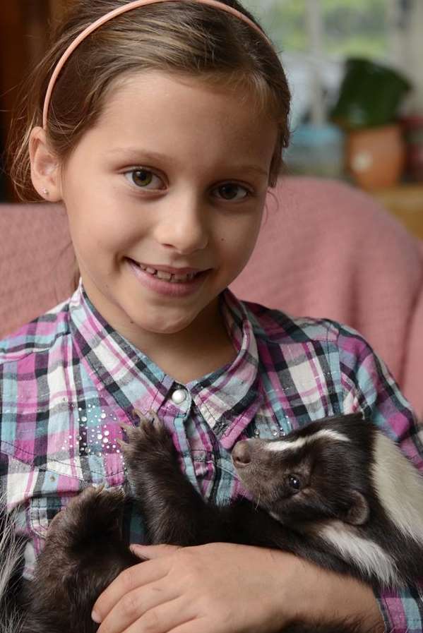 Harriet Cooper snuggles up with Humbug the skunk