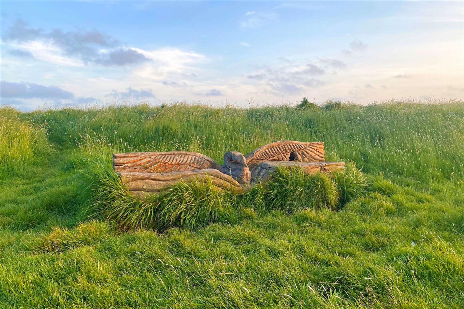 The wooden carved bench at Barton's Point. Picture: Elliott Barber