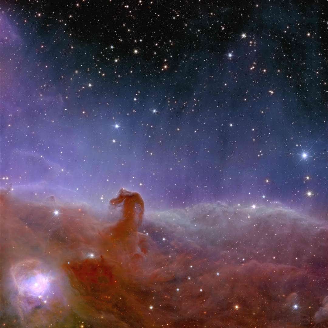 Euclid’s view of the Horsehead Nebula (ESA/Euclid/Euclid Consortium/Nasa)