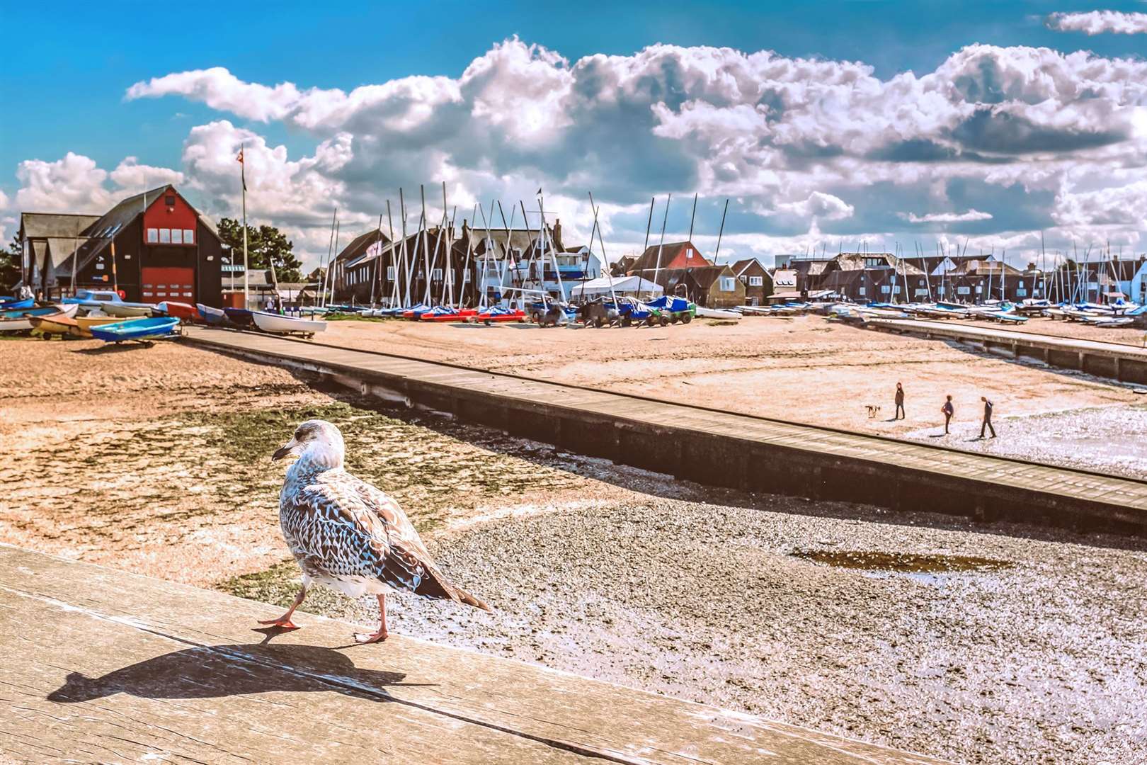 Whitstable is slated as a potential new location for a Travelodge hotel