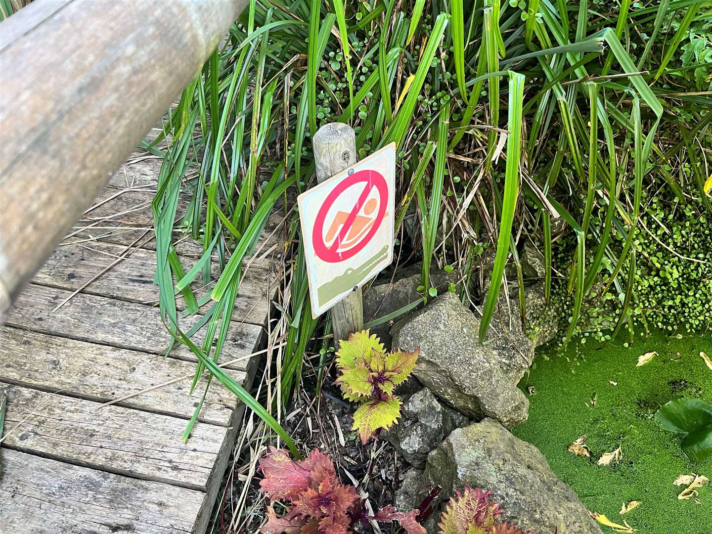 Pools of water have been incorporated into the upper area of the garden