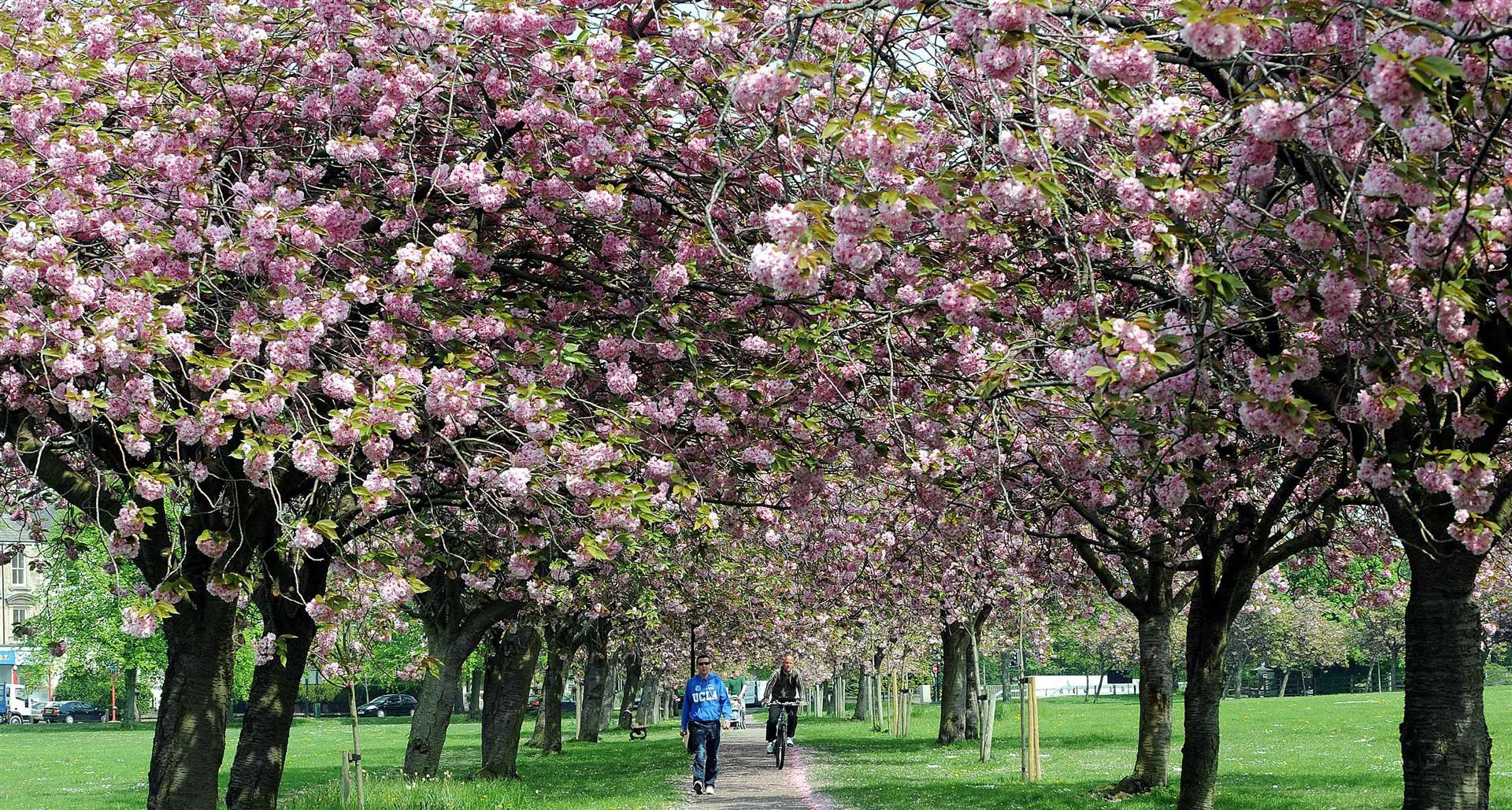 Time out in nature has been championed by campaigners as a way of boosting health (Anna Gowthorpe/PA)