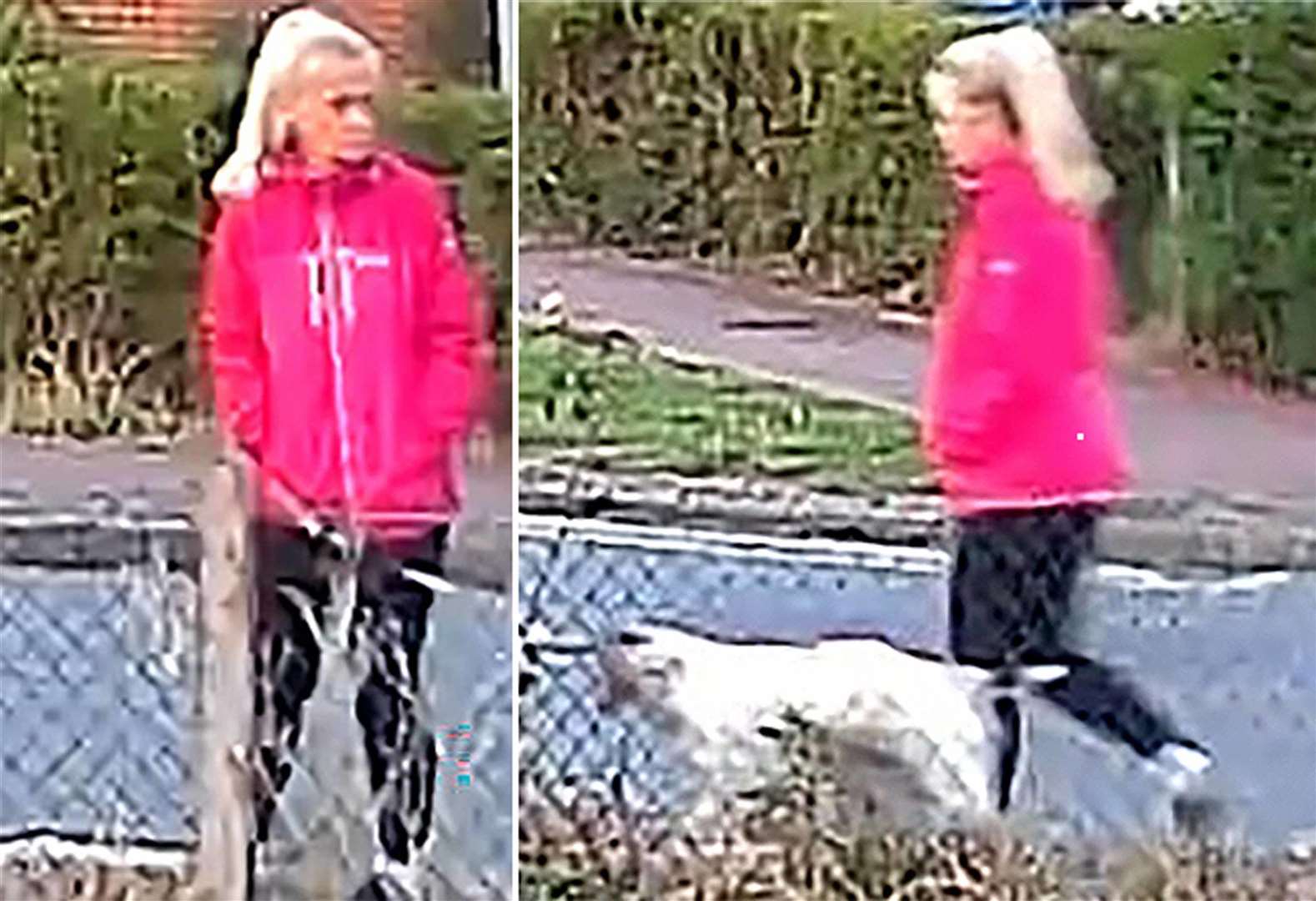 CCTV images issued by Suffolk Police of Anita Rose (Suffolk Police/PA)