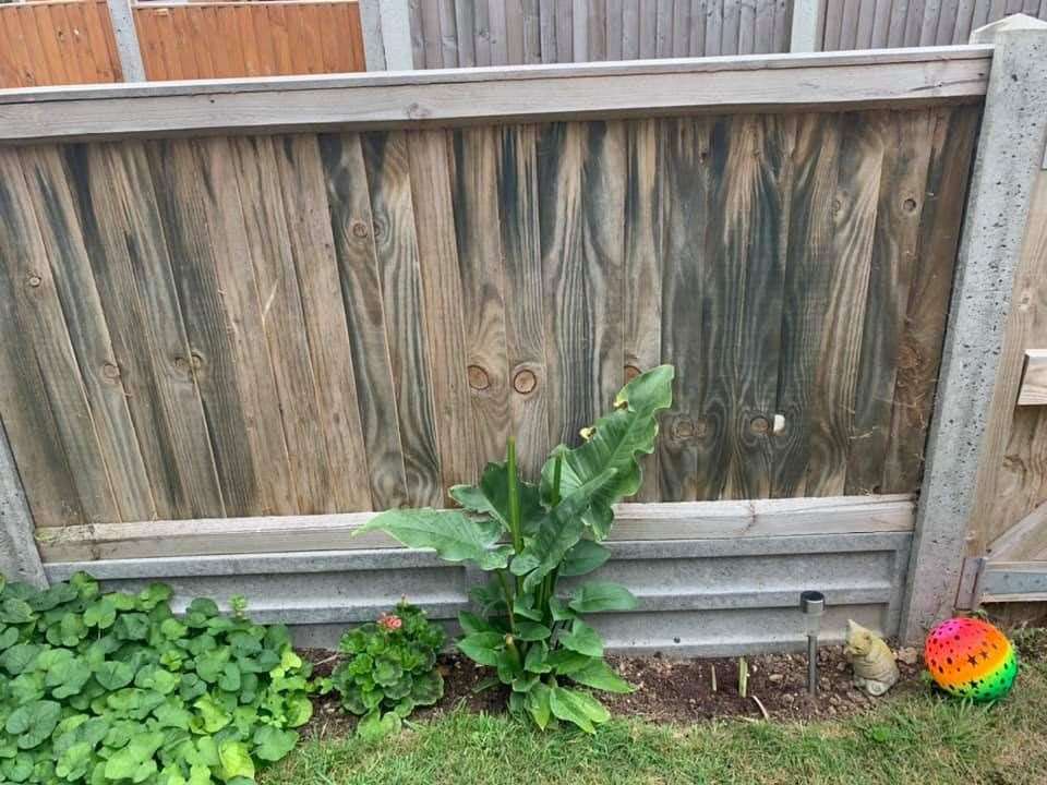 Gemma Louise says her garden fence has turned black, she has black spots in the bathroom and her bracelet has turned black too