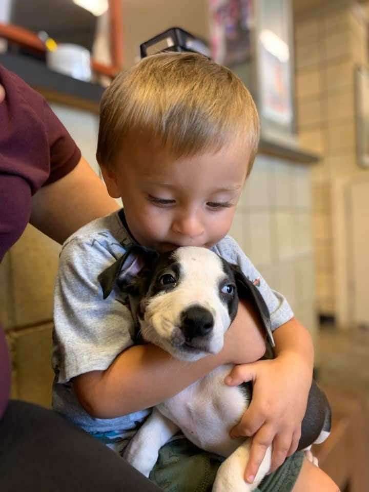 Bentley spotted Lacey’s cleft lip, saying ‘puppy’s got a booboo’ (Jackson County Animal Shelter)