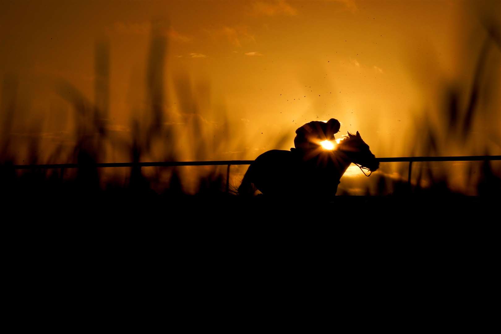 A runner and rider in action as they compete in the Sky Sports Racing Sky 415 Handicap Hurdle at Lingfield Park Racecourse (Zac Goodwin/PA)