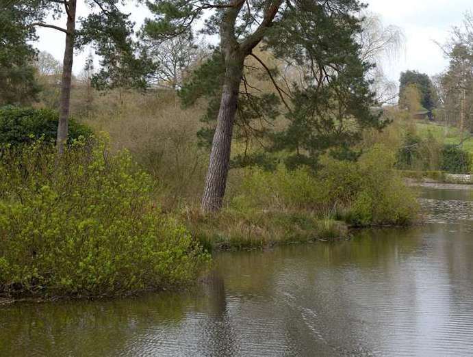 The River Darent runs through Lullingstone Country Park