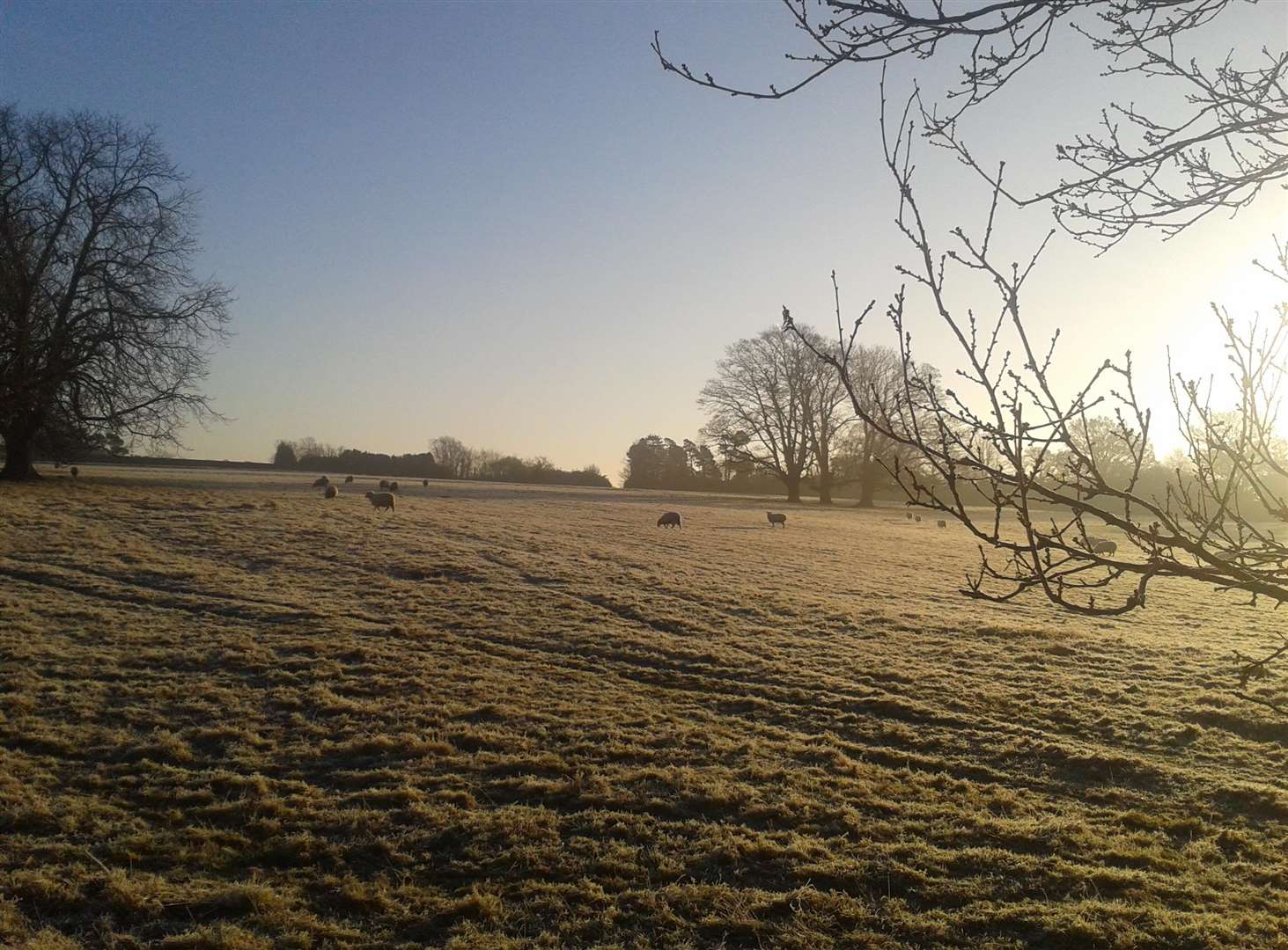 Eridge Park near Tunbridge Wells will be the setting for Black Deer Festival