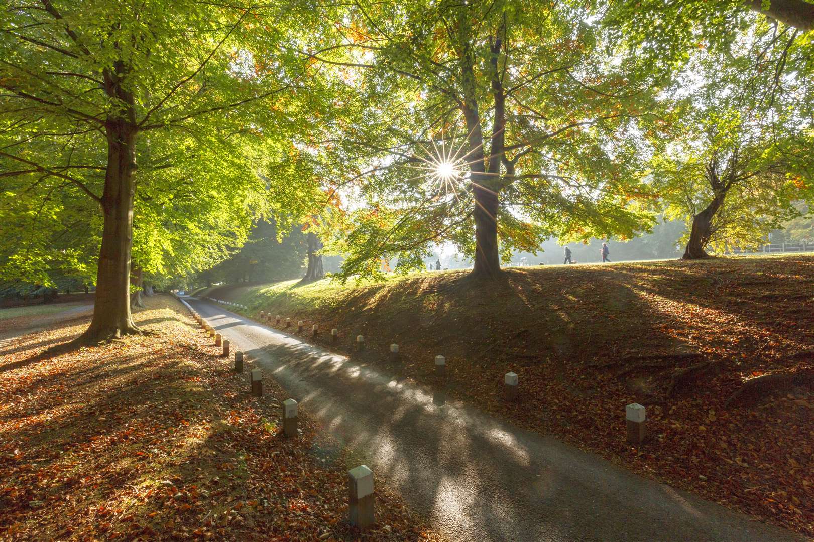 Mote Park in Maidstone Picture: Maidstone council