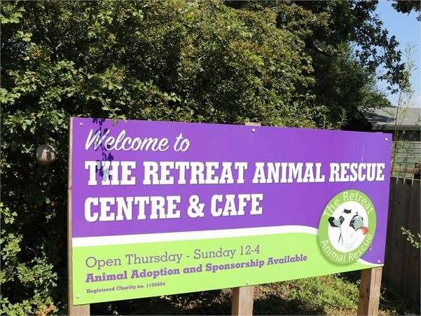 The Retreat Animal Rescue Farm Sanctuary in High Halden, Ashford. Picture: Sue Ferguson