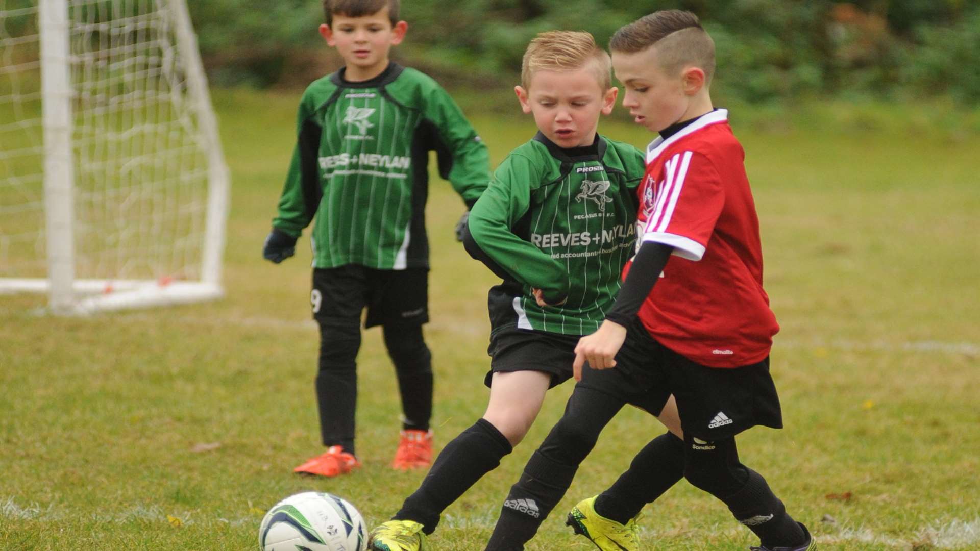 Thamesview under-8s (red) up against Pegasus 81 Picture: Steve Crispe