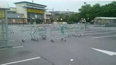 A herd of trolleys, possibly planning their escape?
