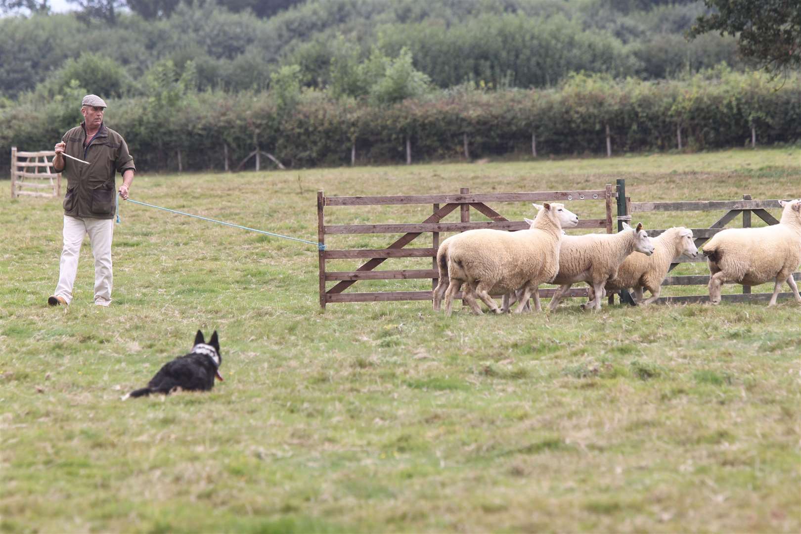 ‘The attack by the government on the farming community is very likely to lead to food shortages’