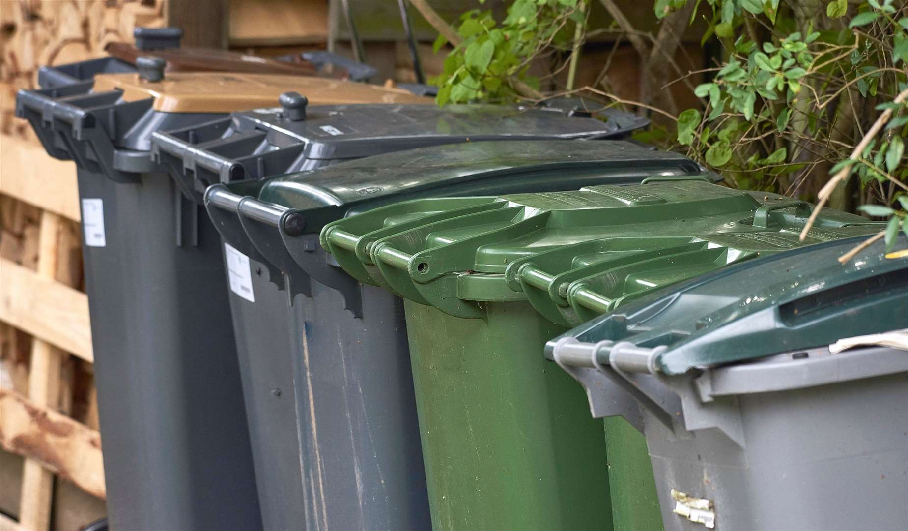 The new £40 per year subscription service would be for residents who produce more than 240 litres of organic waste per week. Picture: iStock