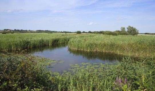 Pollution at Stodmarsh, near Canterbury, has slowed the building of thousands of new homes