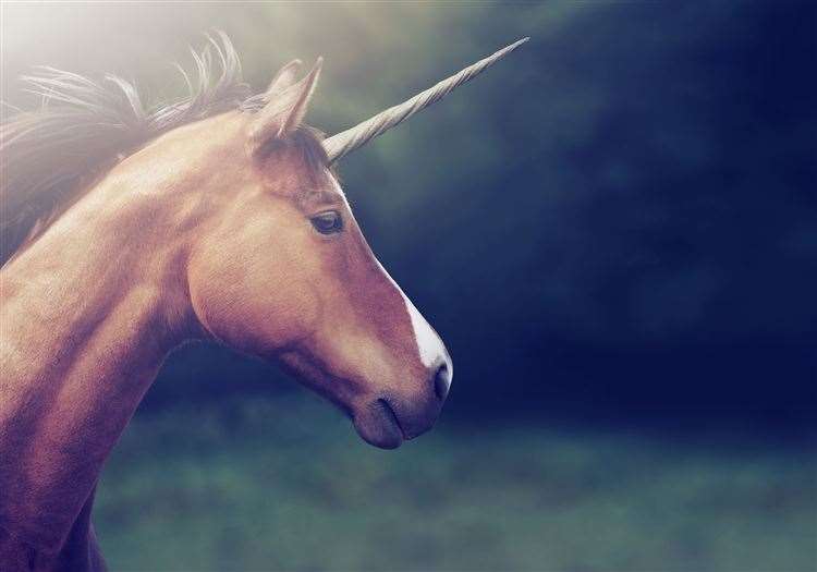 The Unicorn Dream experience has been advertised to parents all over the country (13070417)