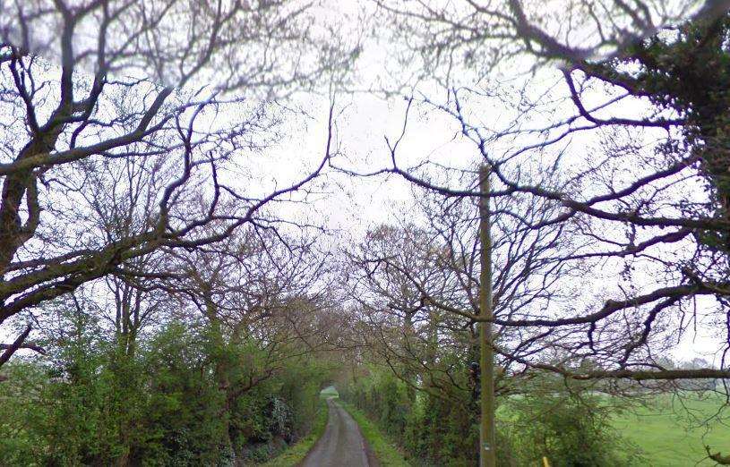 The horse was dumped in Green Lane, Chart Sutton. Picture: Google Street View