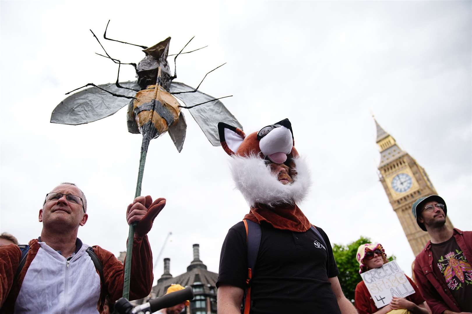 Colourful costumes and banners were out in force during the demo, which urged politicians to protect the environment (Aaron Chown/PA)