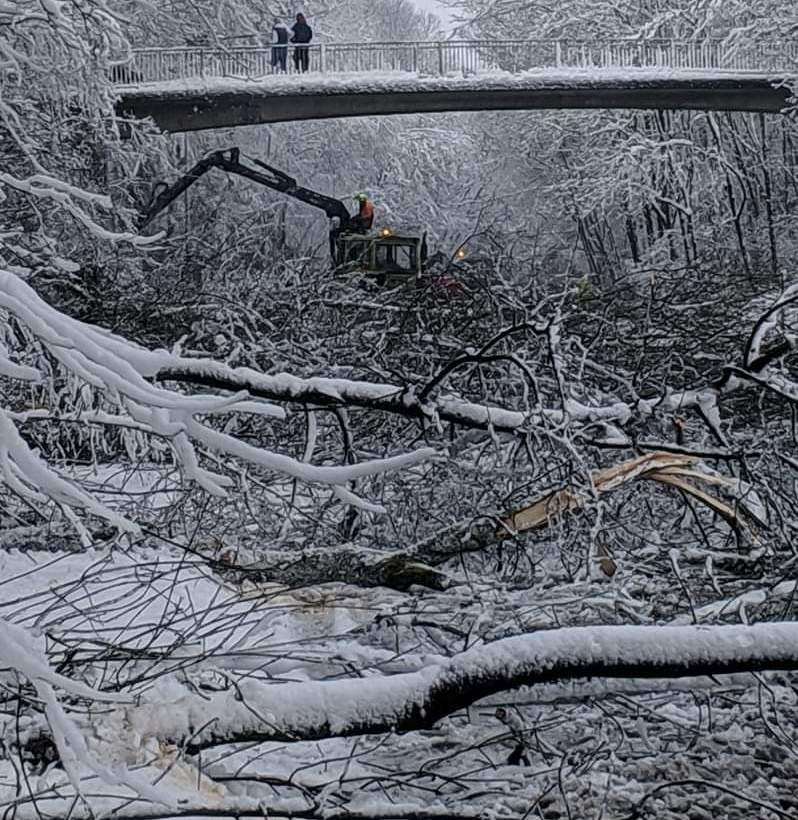 The masses of fallen trees have completely blocked Walderslade Woods Road. Pic Thomas Simpson Brown.