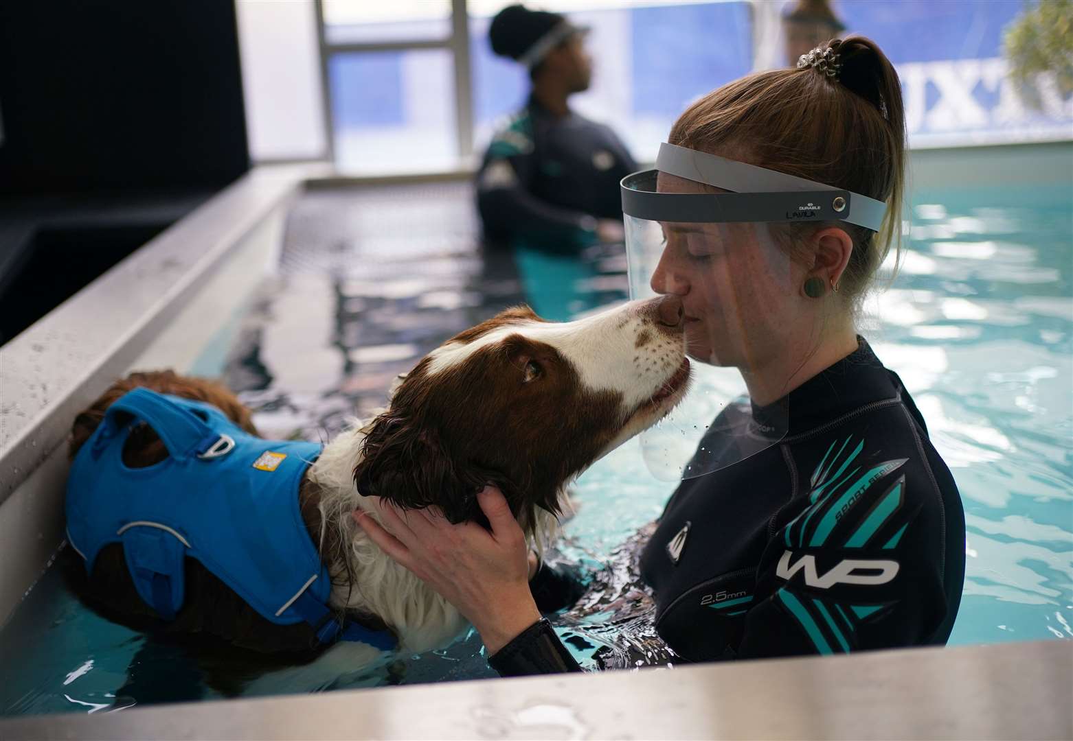 Charley, a two-year-old border collie who has had hip surgery, being treated by a hydrotherapist (Yui Mok/PA)