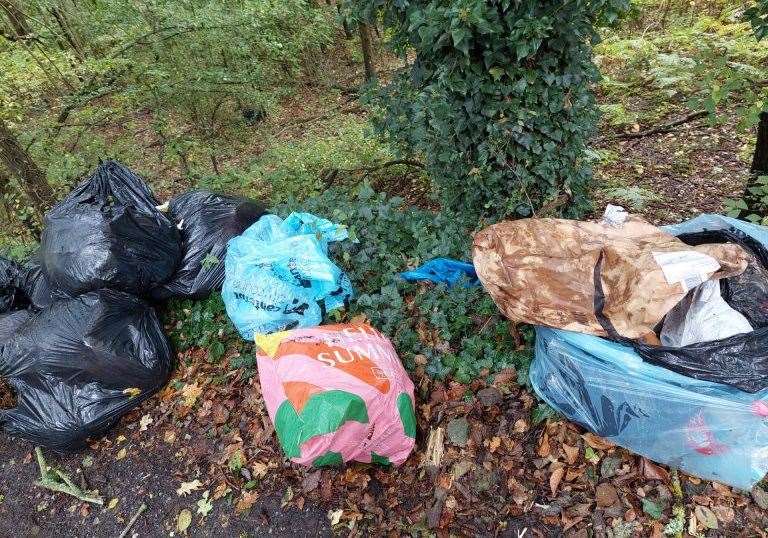 Madalina Petre, of Rutland Close, Canterbury, dumped rubbish in Bekesbourne Lane near the city and has been found guilty of the offence at court. Picture: Canterbury City Council