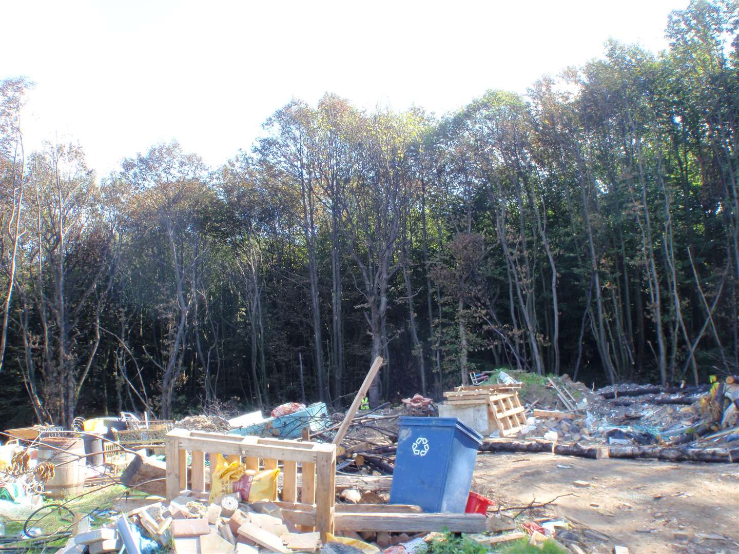 Wooden pallets pushing back the tree line at Boxley Wood on land owned by Langley Beck in 2016. Picture: Maidstone Borough Council