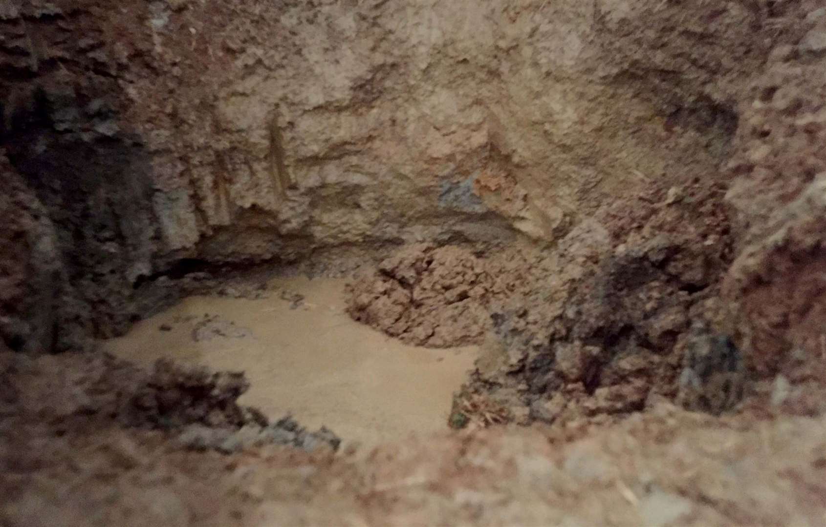 The Hurricane in the Kent bog where it lay undiscovered until the 1990s when it was found and excavated by a group of metal detectorists. Picture: SWNS