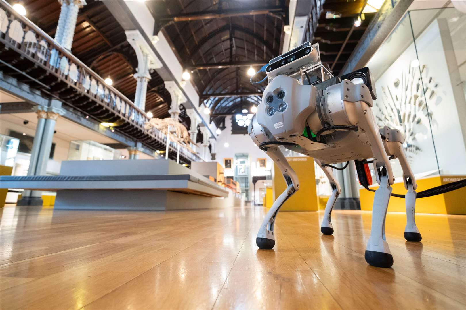 The RoboGuide during a testing session (University of Glasgow/Chris James/PA)