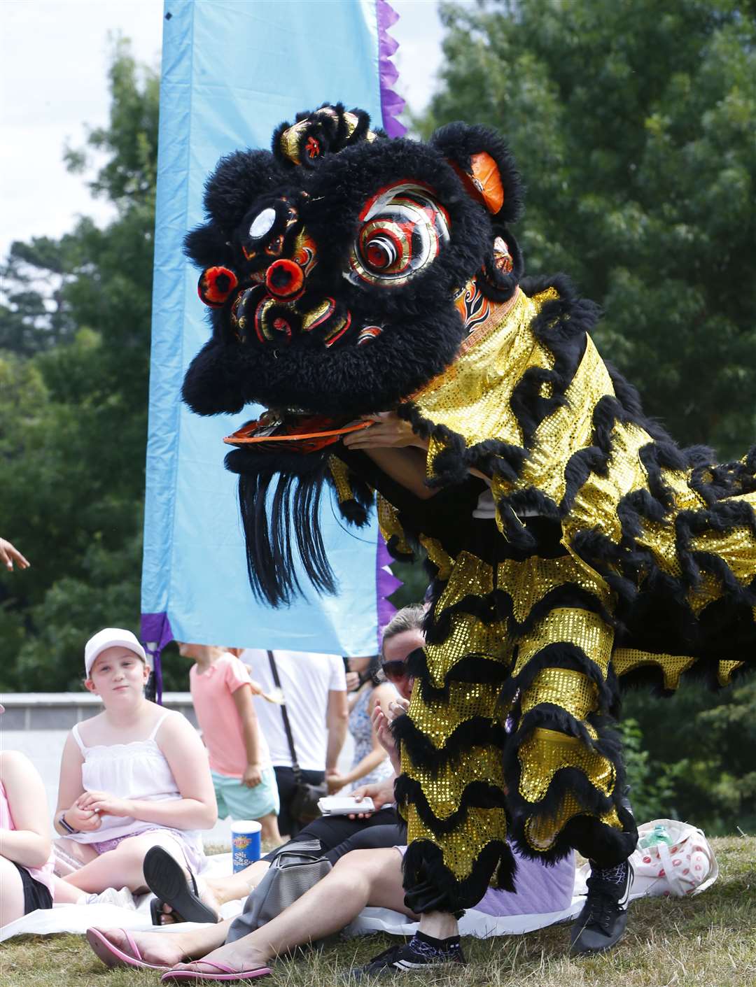 The Chinese Lions. at last year's event Picture: Andy Jones