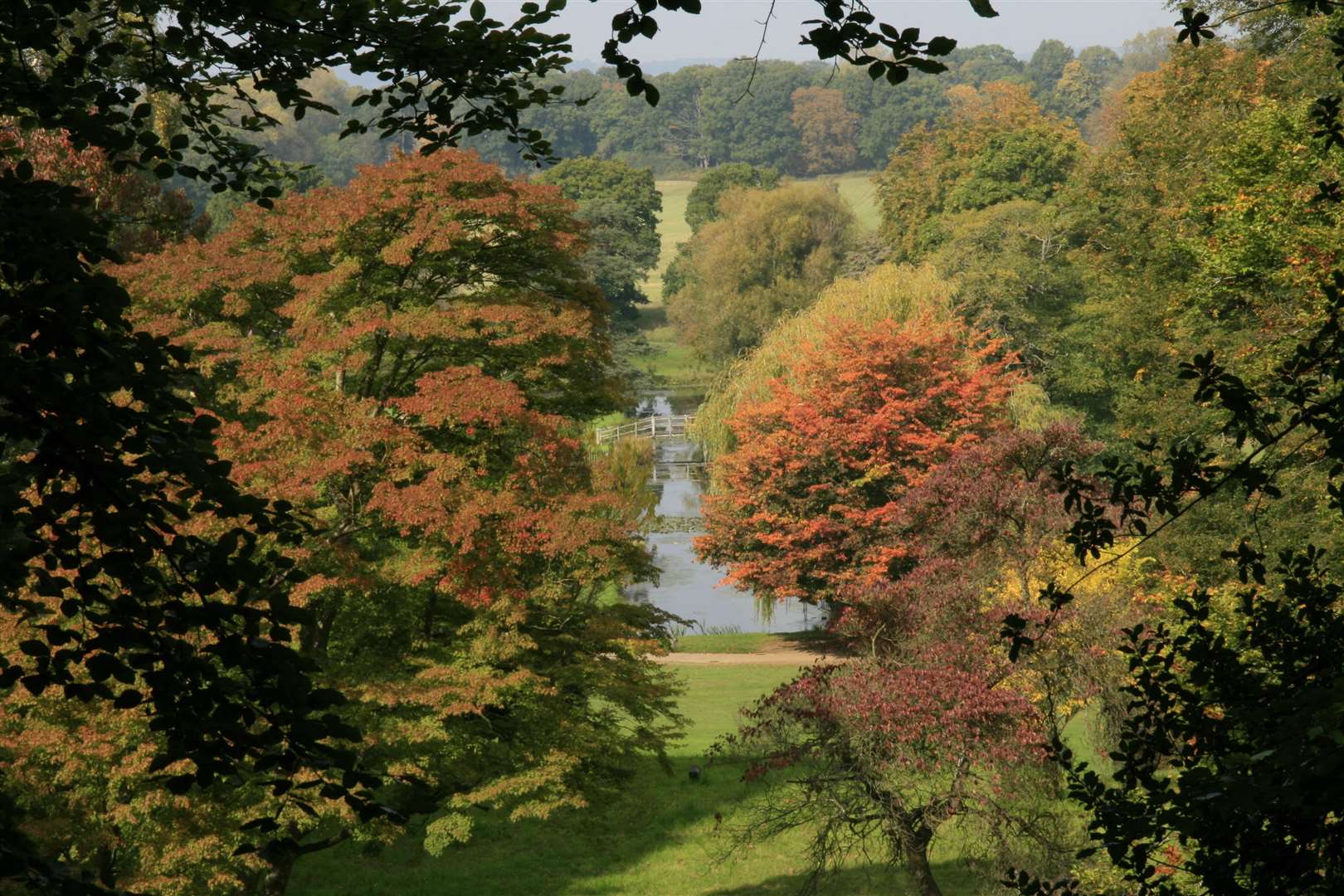 Embark on some tree spotting says Neil Miller