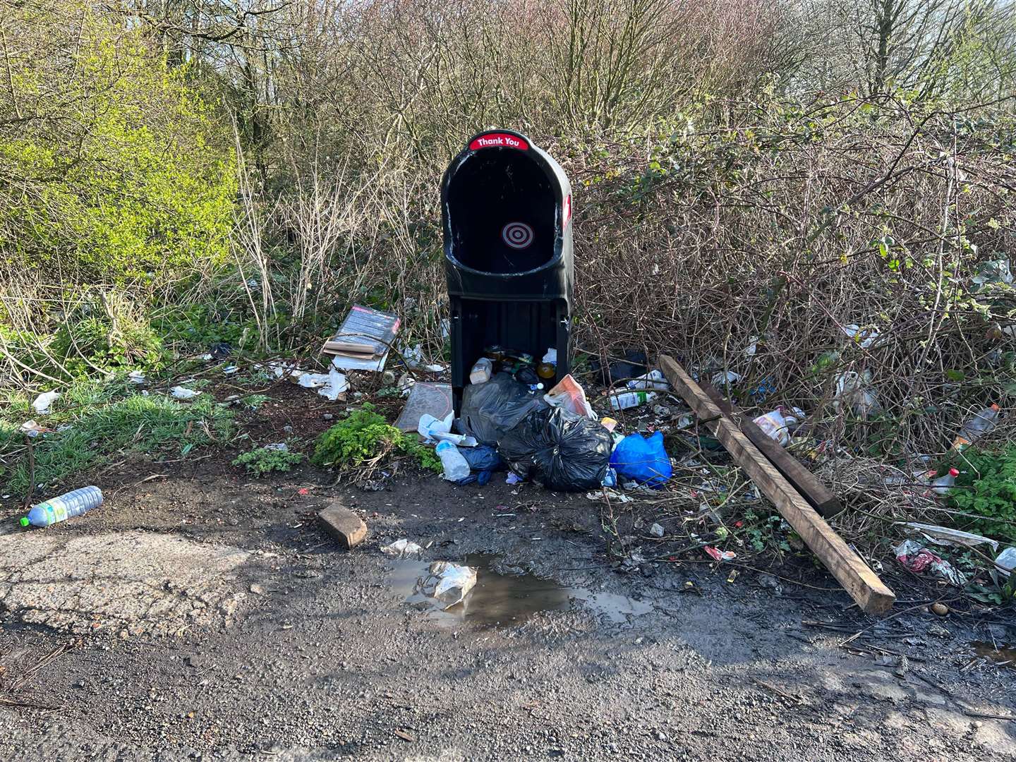 The bins in the lay-by are broken and overflowing with rubbish. Picture: Mike Sole