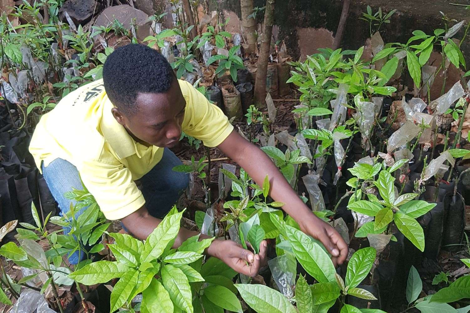 Avocado farmer Jolis Bigirimana said the costs of water in Burundi have increased because of climate change (Christian Aid/PA)
