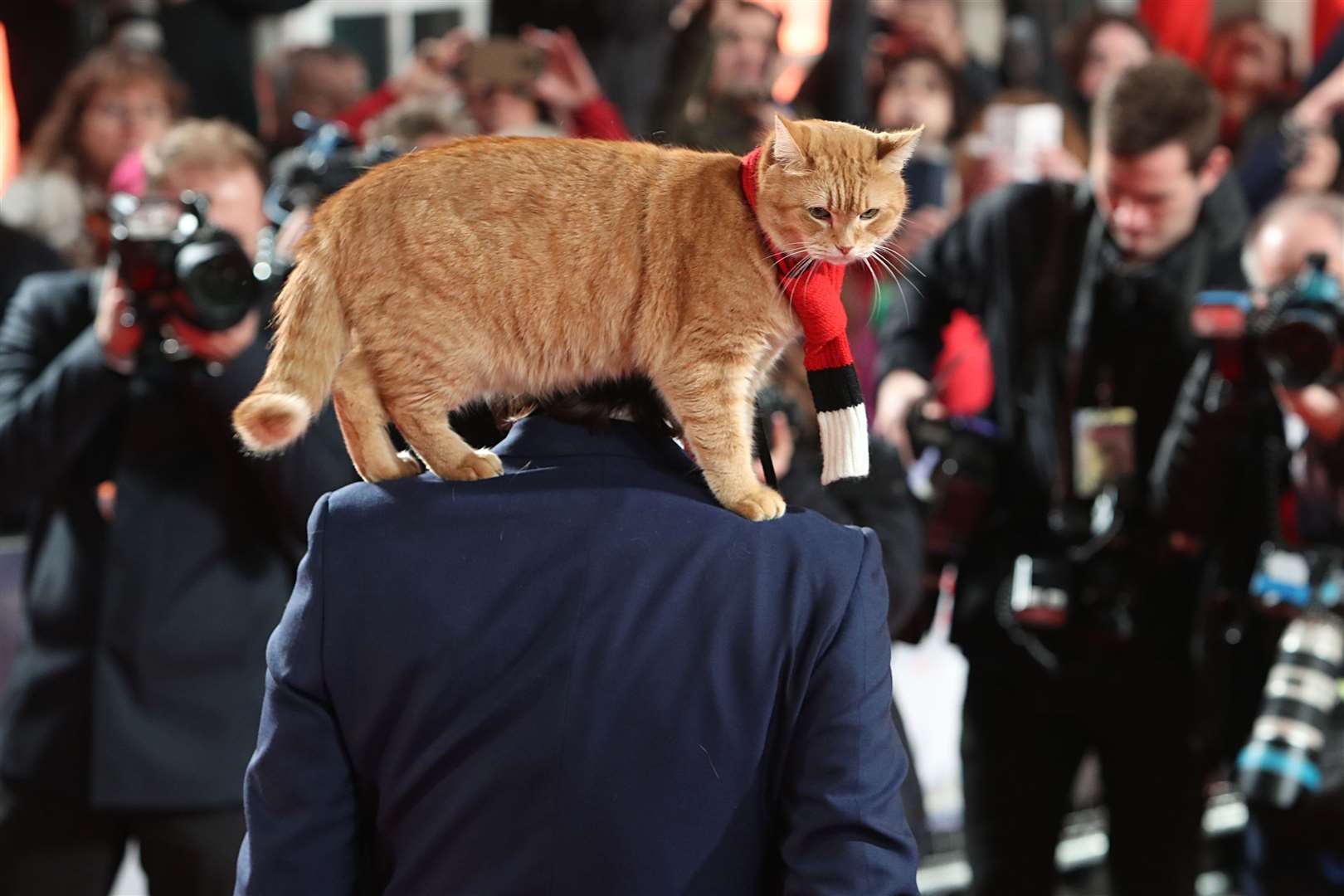 (Steve Parsons/PA)